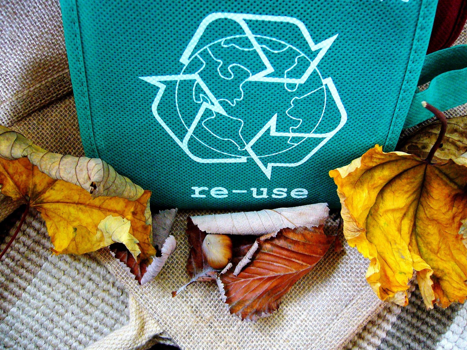 re-use bag with leaves