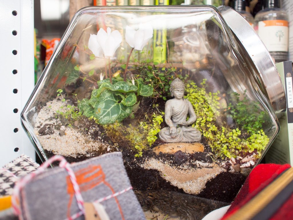 staghorn-garden-cafe-terrarium