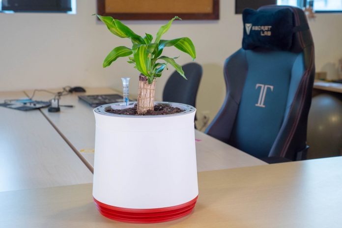 The Airy Natural Air Purifier In Depth Unboxing And Review Airy Natural Air Purifier Review A Smart Planter For The Home And Office